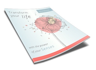 THE POWER OF YOUR SENSES