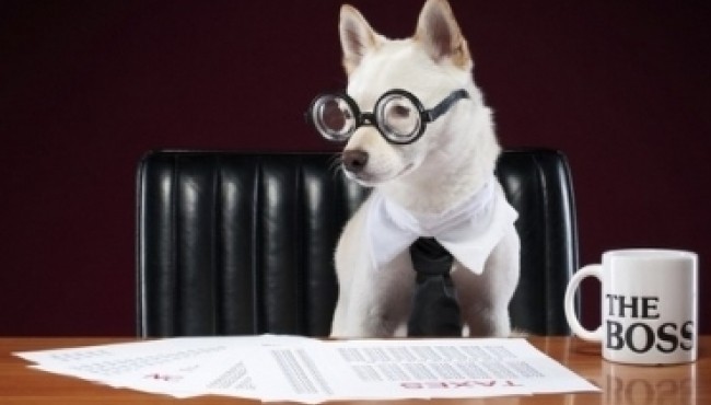 10 Internet Hoaxes Almost Everybody Believed